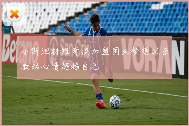 小斯坦科维奇谈加盟国米梦想父亲激动心情超越自己